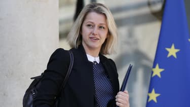 Barbara Pompili, la députée LREM qui portait l'amendement.