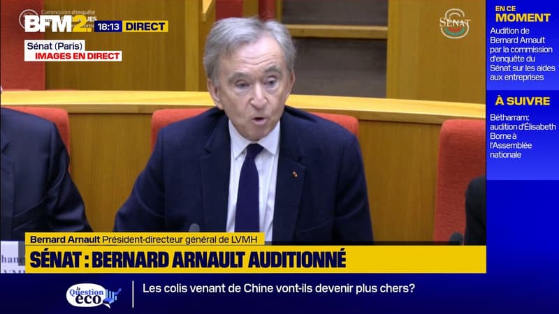Sénat: Bernard Arnault 