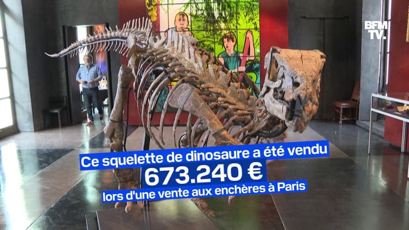 Ce squelette de dinosaure a été vendu plus de 600.000¬ lors d'une vente aux enchères à Paris