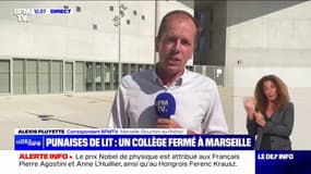 Punaises de lit: un collège de Marseille infesté contraint de fermer quelques jours 