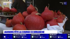 Alpes-de-Haute-Provence: Jausiers a fêté la courge ce dimanche