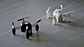 Les mini drones de Zano sont mort-nés, les investisseurs n'ont plus qu'à regretter les fonds qu'ils ont misés.