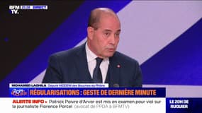 Projet de loi immigration: "On voit des idées qui ont été portées par Jean-Marie Le Pen, suivi par sa fille, arriver à triompher dans notre société", déplore Mohamed Laqhila (MoDem)