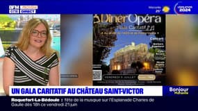 Marseille: un gala caritatif organisé au château Saint-Victor, en profit de l'association ADO