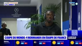 Coupe du monde: quatre joueurs passés par la Normandie sélectionnés