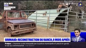 Grimaud: huit mois après l'incendie, l'activité reprend doucement au ranch de Grimaud