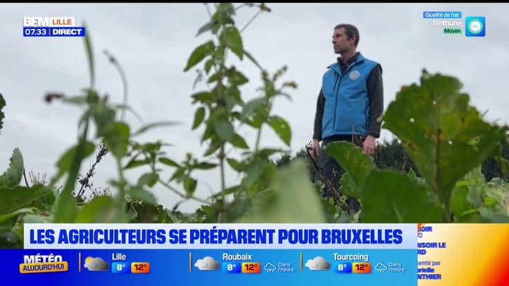 Les agriculteurs se préparent pour Bruxelles.