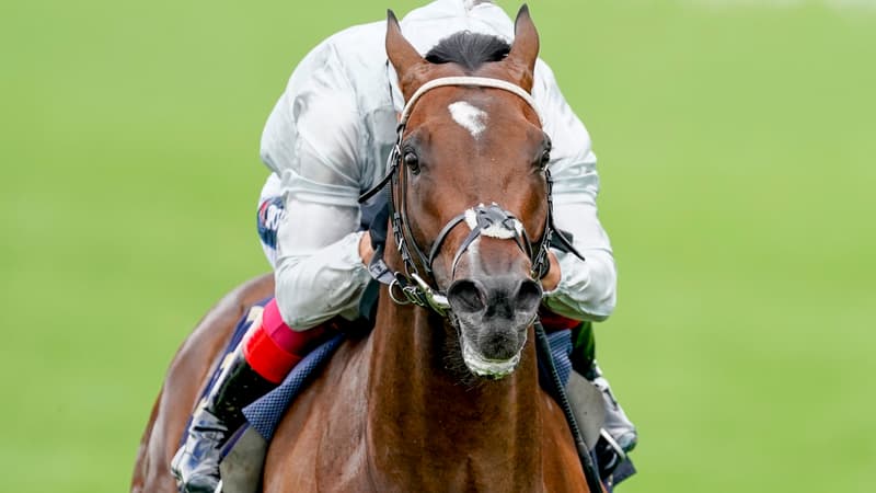 Palace Pier réalise le doublé dans le Prix Jacques Le Marois
