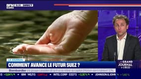 Comment sera composé l'actionnariat du nouveau Suez ?