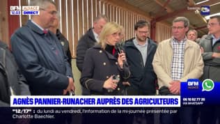 Inondations dans le Bas-Rhin: la ministre déléguée auprès du ministre de l'Agriculture Agnès Pannier-Runacher a recontré des sinistrés
