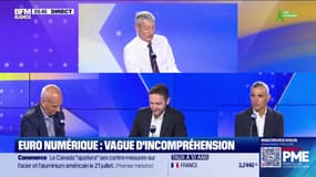 Les Experts : Cotisations, en finir avec les exonérations ? - 20/06