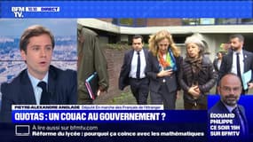 Quotas: un couac au gouvernement ? - 06/11