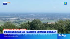 Rhône: promenade sur les hauteurs du Mont Brouilly