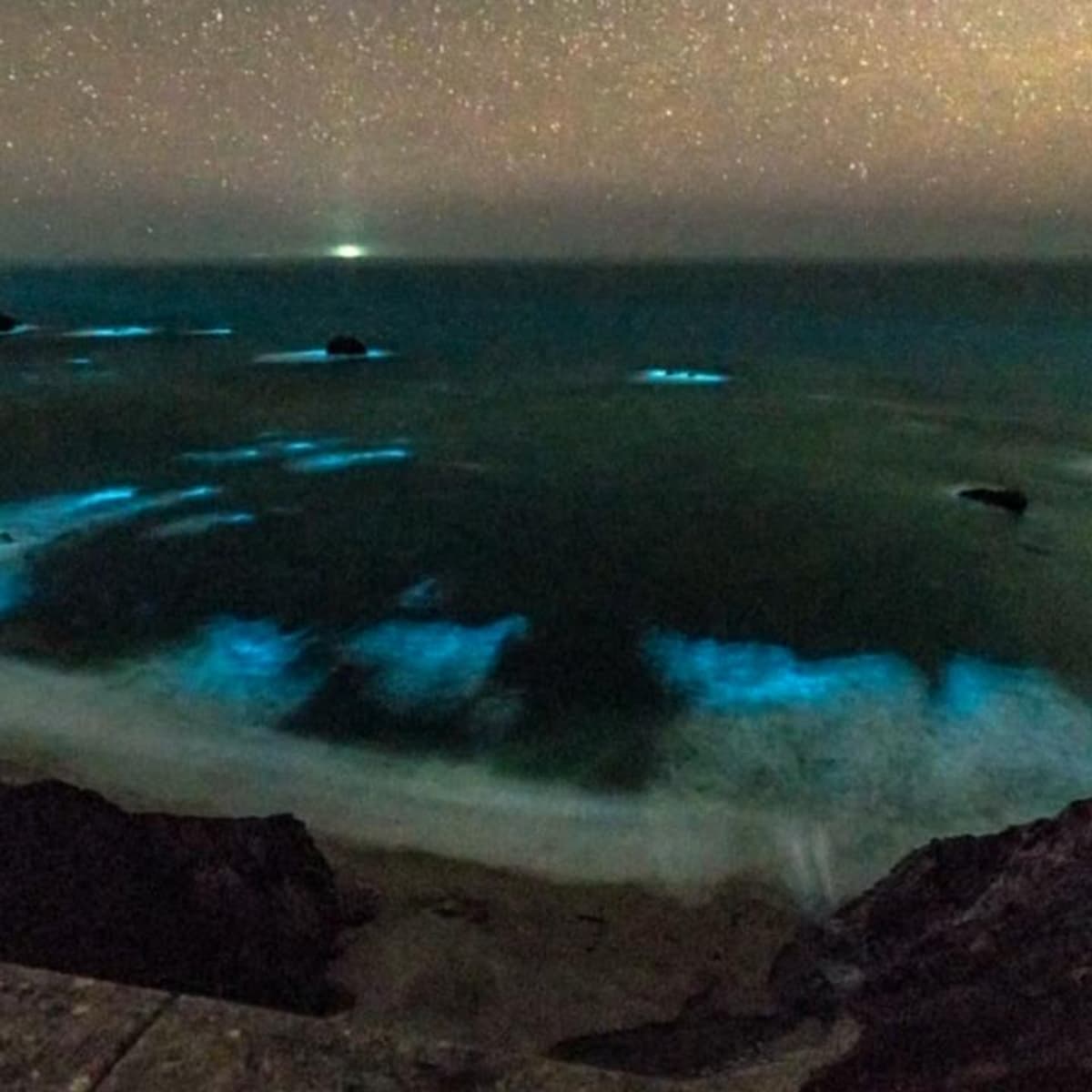 placeholder video