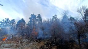 Un feu de forêt est en cours sur la commune de La Rochette. (photo d'illustration)