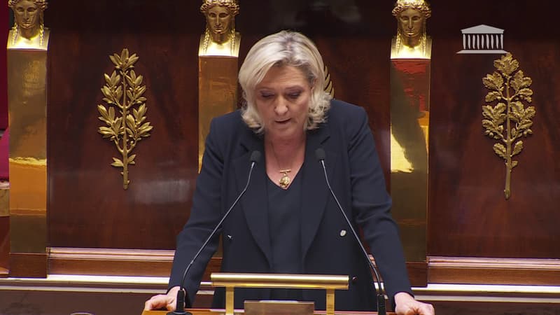 DIRECT. Motions de censure: Marine Le Pen estime que le gouvernement "commet un abus de Constitution" en utilisant le 49.3