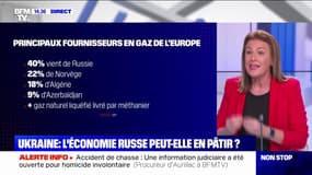 Pourquoi les sanctions à l'encontre de la Russie risquent de pénaliser davantage l'Union européenne