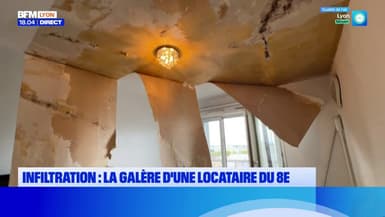 Infiltration : la galère d'une locataire du 8e
