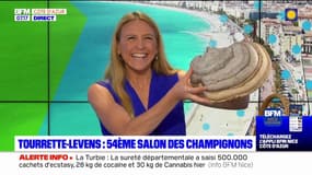 Alpes-Maritimes: un salon des champignons et de la biodiversité à Tourrette-Levens ce week-end