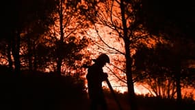 Des pompiers luttent contre un incendie, à Carnoux-en-Provence, près d'Aubagne, le 19 août 2017