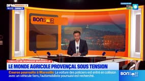 Le monde agricole provençal sous tension
