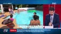 Dupin Quotidien : Le boom des piscines - 09/04