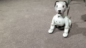 Aibo, le petit chien de Sony