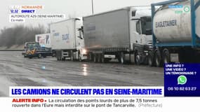 Neige-verglas: les camions de plus de 7,5 tonnes interdits de circuler en Seine-Maritime