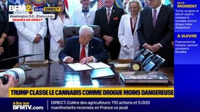 Donald Trump reclasse le cannabis comme drogue moins dangereuse