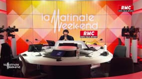 Européennes : "Macron-Le Pen, d'une certaine manière, c'est un débat sur l'Europe", estime Bruno Cautrès