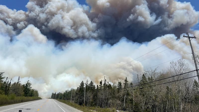 La Nouvelle-Ecosse, province située à l'est du Canada, est touchée par au moins 14 feux de forêt fin mai 2023