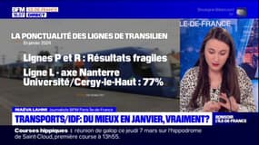 Transports en Île-de-France: les métros et RER plus ponctuels en janvier?