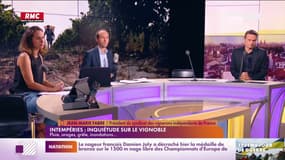 Jean-Marie Fabre : "Le réchauffement climatique, on le prend de plein fouet. C'est difficile pour nous de s'adapter" 