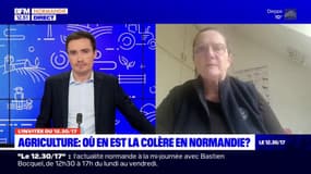 Normandie: les agriculteurs "plutôt inquiets" avant le SIA