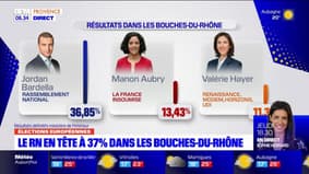 Élections européennes: le RN arrive en tête dans les Bouches-du-Rhône