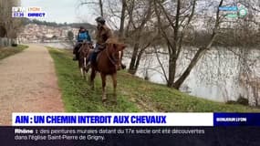 Ain: une balade interdite aux chevaux