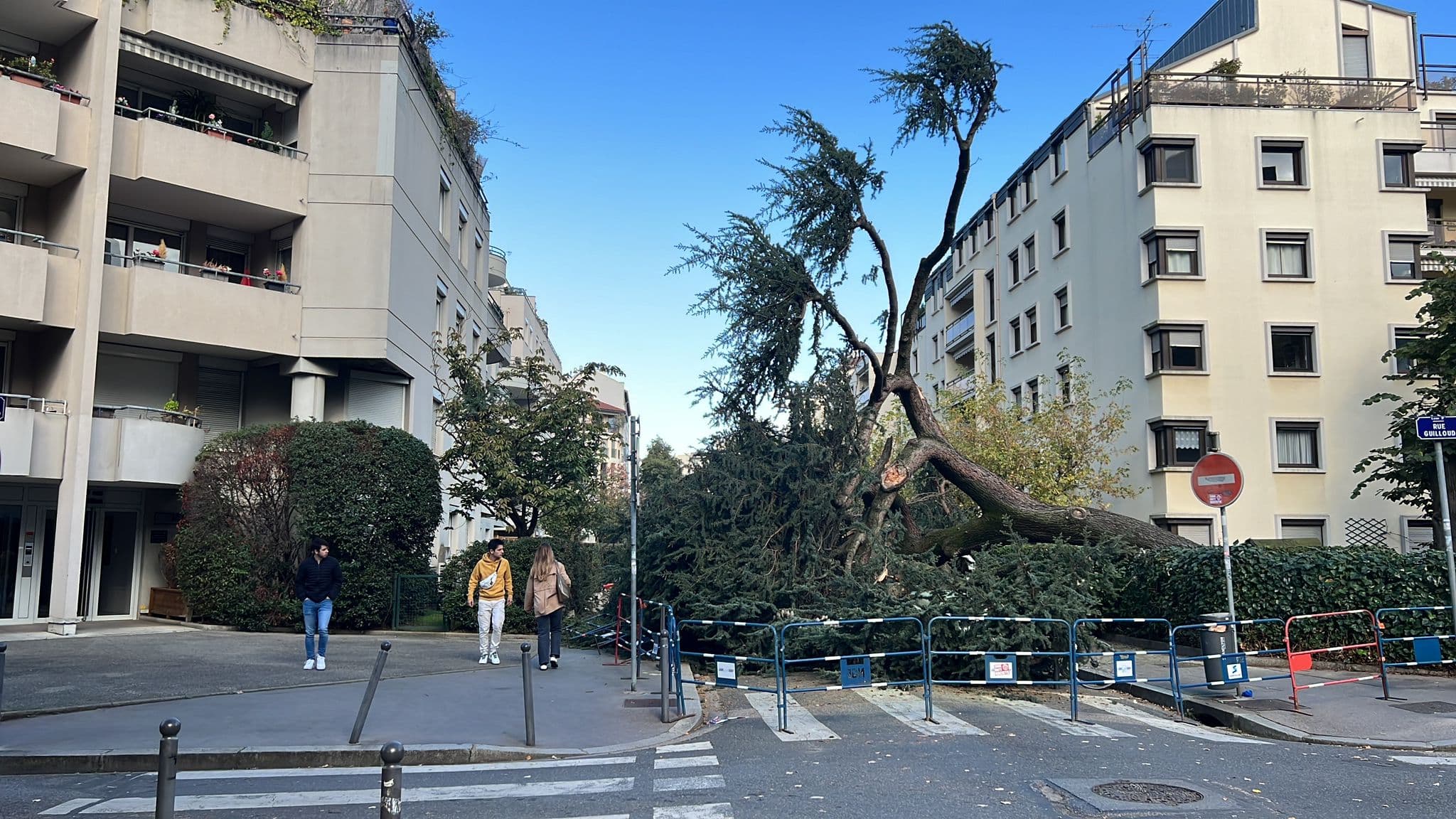 Un cèdre est tombé dans la soirée de ce mercredi 23 octobre 2024, dans la rue Villon, au croisement avec la rue Guilloud