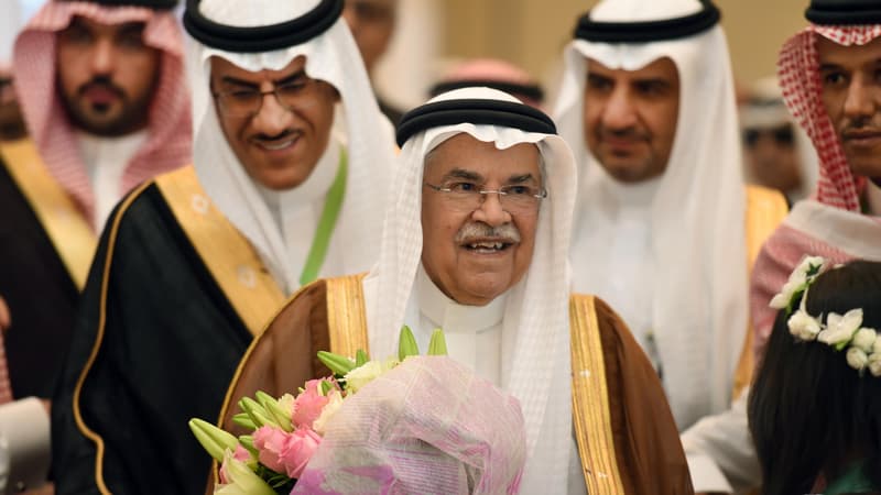 Le ministre du pétrole saoudien, Ali Al-Naïmi, pourrait marquer la prochaine réunion de l'OPEP avec une proposition globale de réduction de la production pétrolière à l'échelon mondial.