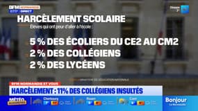 BFM Normandie et vous: lutter contre le fléau du harcèlement scolaire