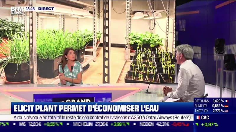 Elicit Plant permet d'économiser l'eau - 03/08