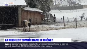 Les premiers flocons de neige sont tombés ce vendredi dans les monts du lyonnais