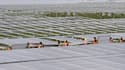 A Cestas (Aquitaine), le plus grand parc solaire d'Europe sort de terre