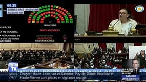 En Argentine, le Sénat dit "non" à la légalisation de l'avortement 