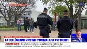 Agression près d'une école à Souffelweyersheim: la collégienne victime d'un malaise est morte