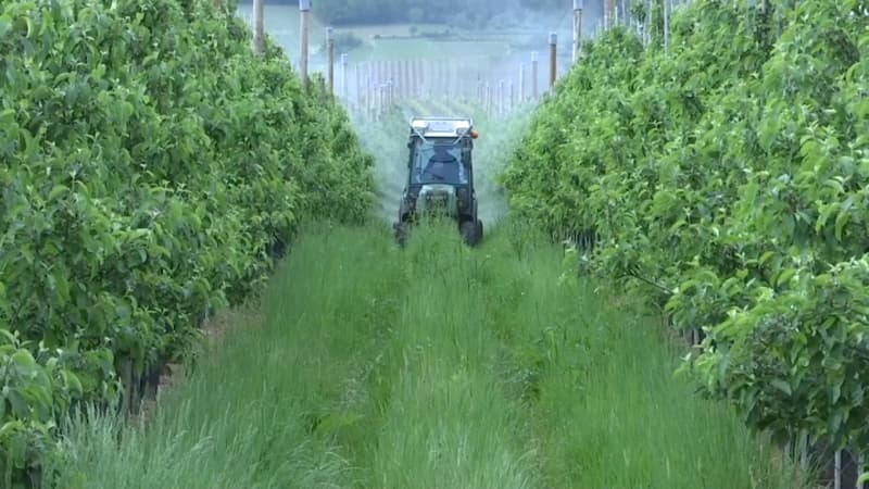 L'ONG Générations futures veut élargir les zones de non-traitement en France.