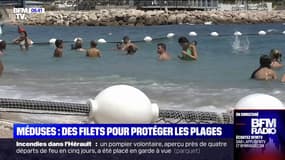 Le Cap-d'Ail installe des filets en mer pour protéger les baigneurs des méduses