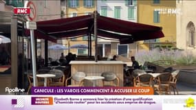 Canicule : les Varois commencent à accuser le coup 