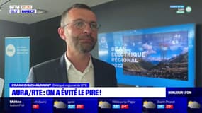 Auvergne-Rhône-Alpes: la consommation d'électricité a baissé selon RTE