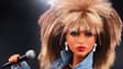 La poupée Barbie à l'effigie de Tina Turner.