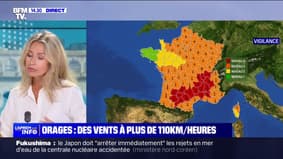 Canicule, orages: plus des trois quarts du pays placés en vigilance par Météo France